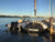 Hauraki Fenders / Check out our fenders in use on real boats in real situations